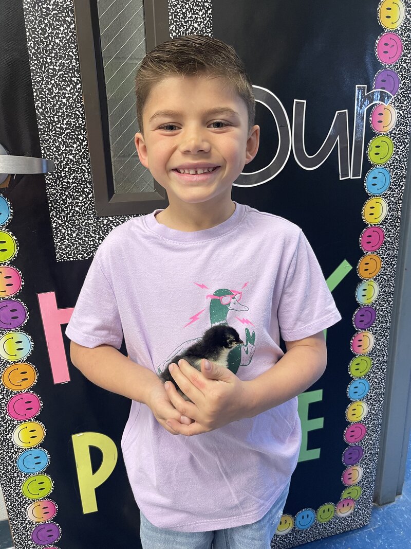 Teacher guiding a student to handle a chick safely