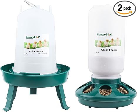 Chick feeder and waterer set